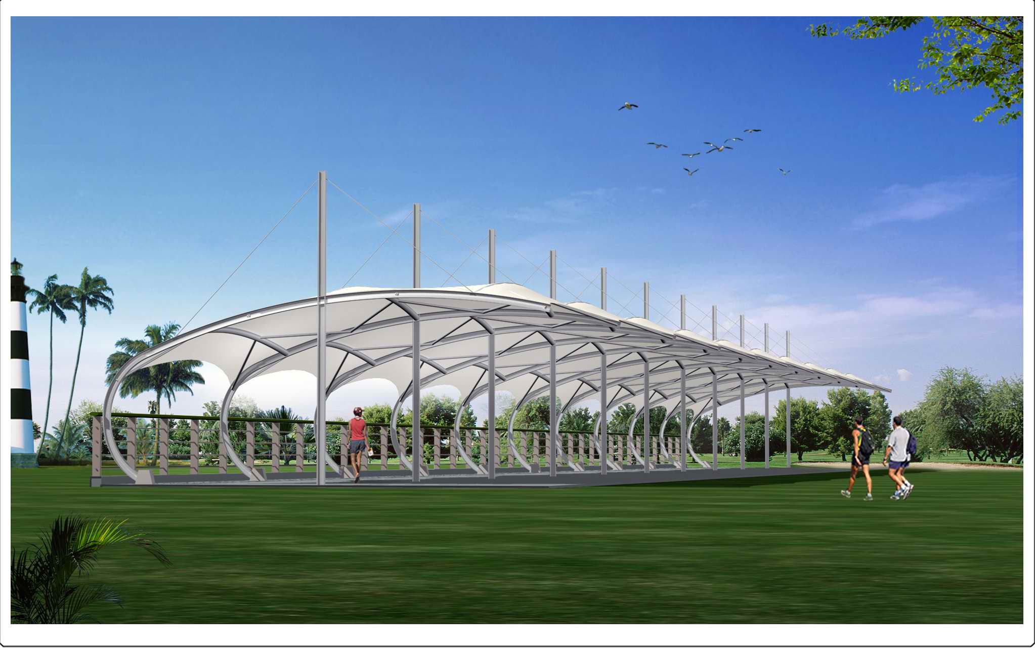 ��α��CĤ�Y(ji��)��(g��u)���̵��|(zh��)����